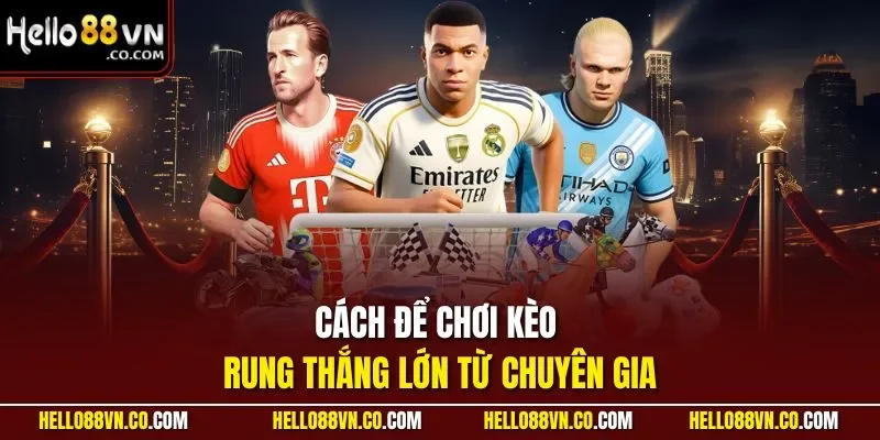 Cách để chơi kèo rung thắng lớn từ chuyên gia