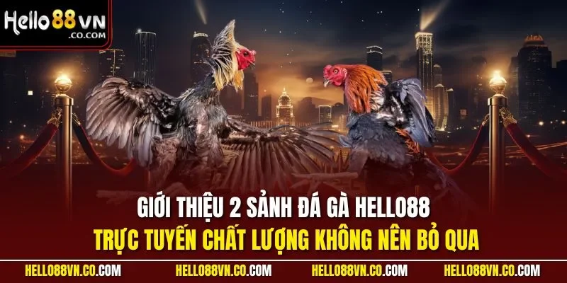 Giới thiệu 2 sảnh đá gà HELLO88 trực tuyến chất lượng không nên bỏ qua