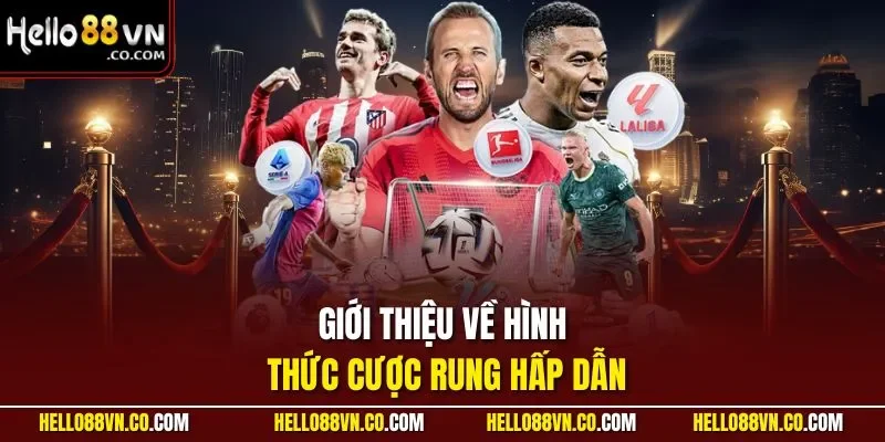Giới thiệu về hình thức cược rung hấp dẫn