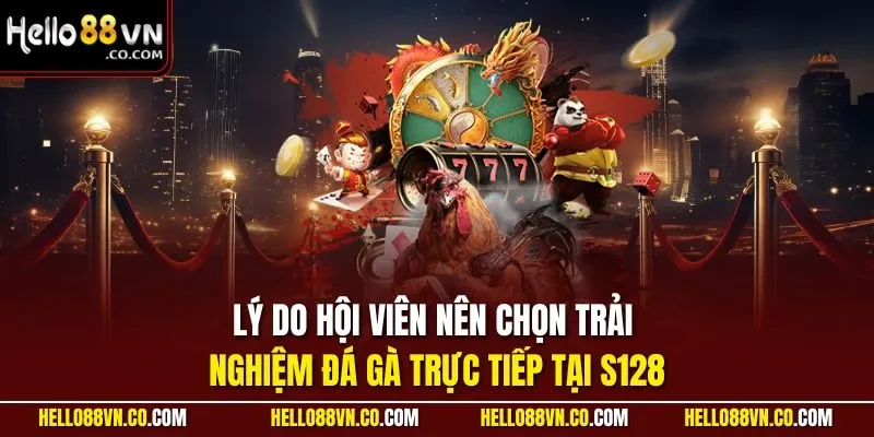 Lý do hội viên nên chọn trải nghiệm đá gà trực tiếp tại S128