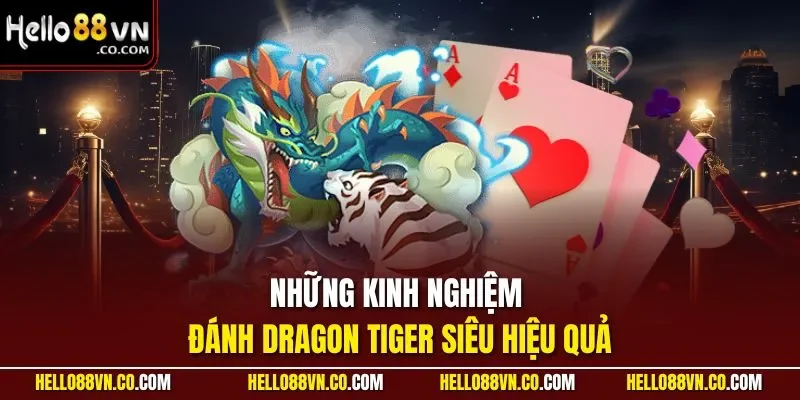 Những kinh nghiệm đánh Dragon Tiger siêu hiệu quả