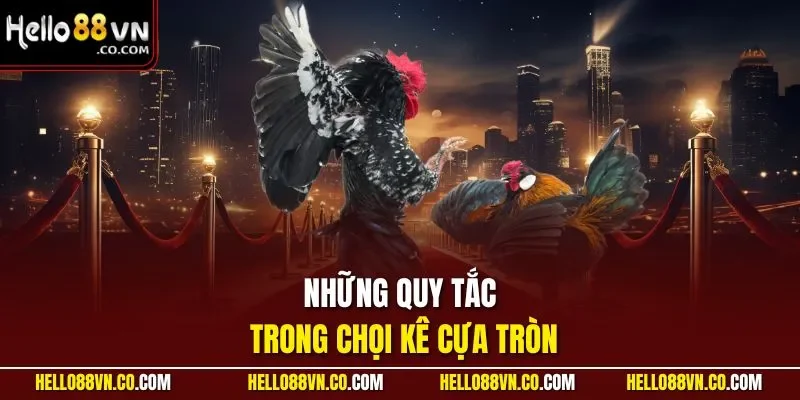 Những quy tắc trong chọi kê cựa tròn