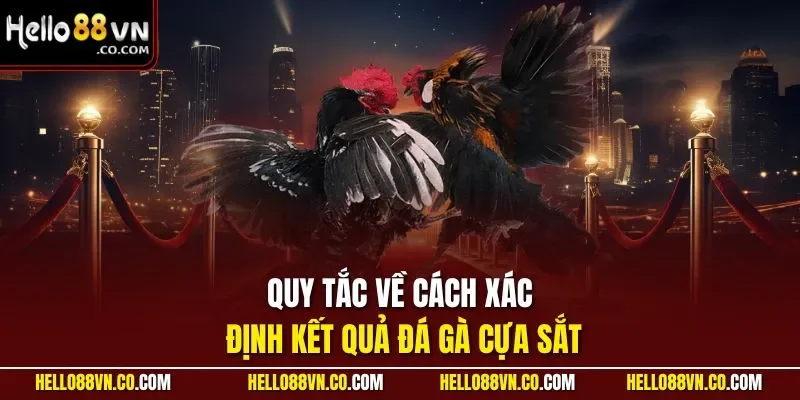 Quy tắc về cách xác định kết quả đá gà cựa sắt 