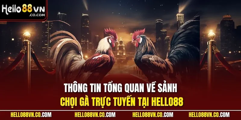 Thông tin tổng quan về sảnh chọi gà trực tuyến tại HELLO88